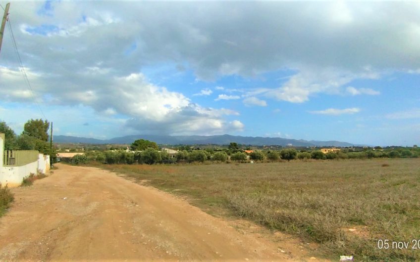 Quartu Sant’Elena via Bithia, terreno agricolo