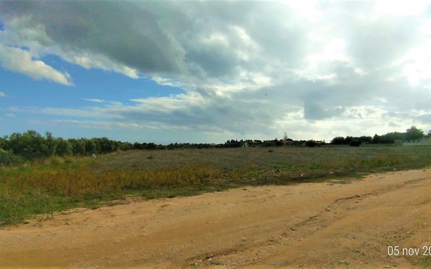 Quartu Sant’Elena via Bithia, terreno agricolo